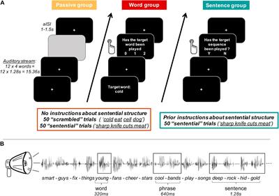 The Influence of Auditory Attention on Rhythmic Speech Tracking: Implications for Studies of Unresponsive Patients